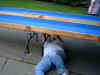 Pict0002.jpg (74636 bytes)